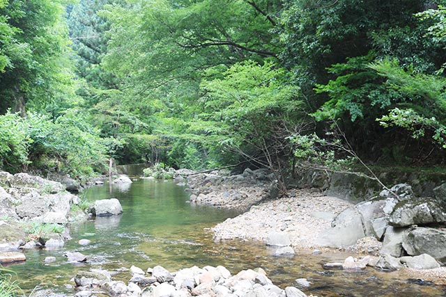 Environment